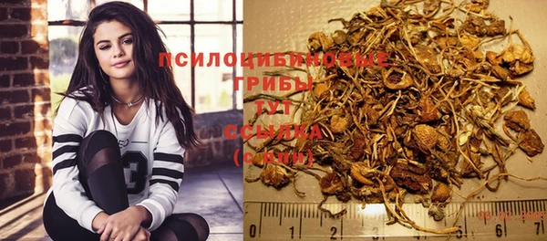 дживик Алзамай