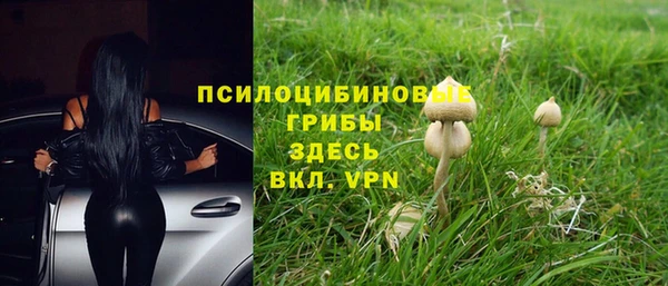 индика Алексеевка