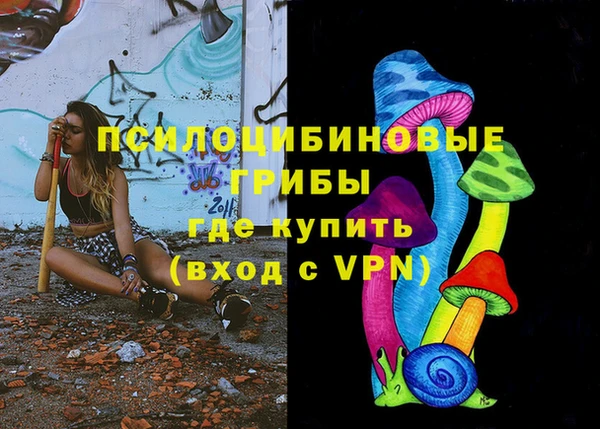 дживик Алзамай