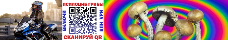 Псилоцибиновые грибы Psilocybe  Полтавская 